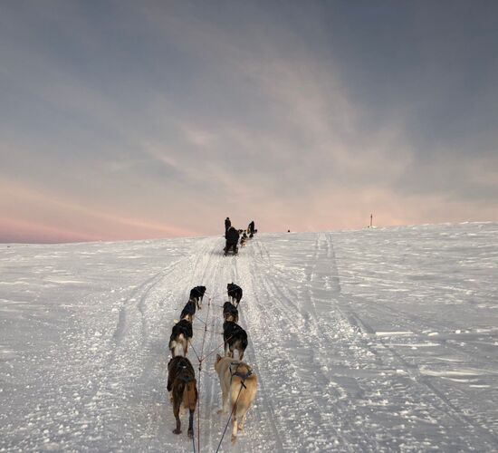 Alta 4 Day Experience © holmenhundecenter