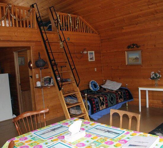 Nordlichtmagie im Yukon © Northern Tales