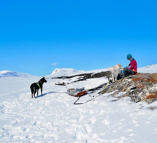 Winterwoche mit Huskys in atemberaubender Natur © whitehorizon