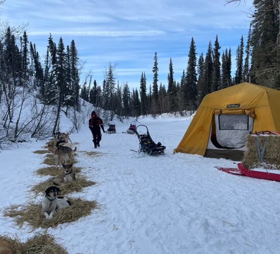 Hundeschlittenexpedition in den White Mountains Alaskas © alaska wilderness adventures