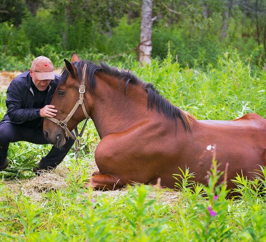 Schlittenhundetour im traumhaften Yukon © Ian McDougall