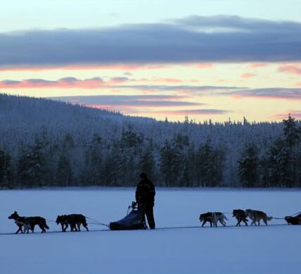 Husky Experience Week: Your personal winter dream