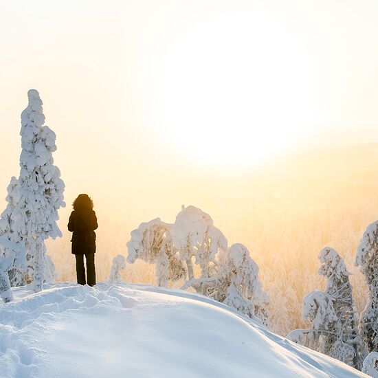 Winterurlaub für die ganze Familie in Finnland