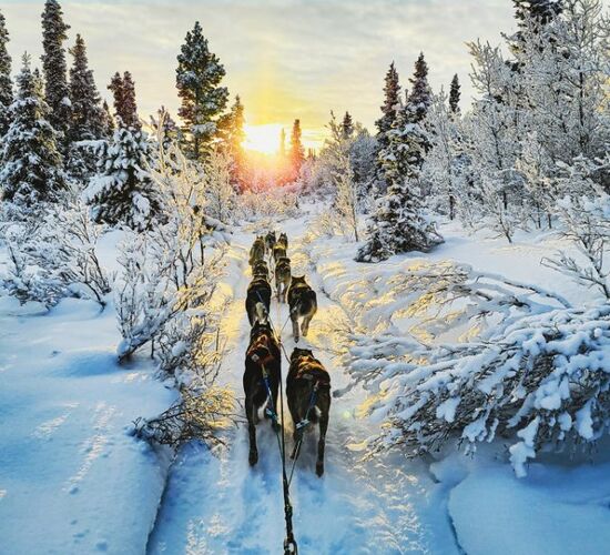 Arctic Winter Survival Course © Arctic Range Adventures