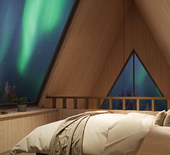 Forest Suite