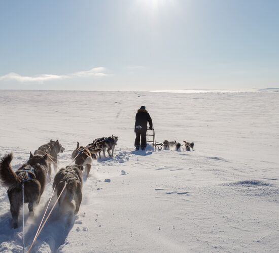 Alta 4 Day Experience © holmenhundecenter