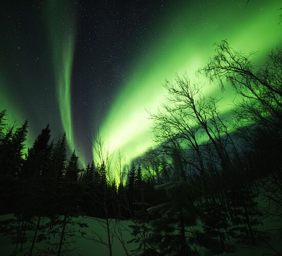 Northern Lights Watch © Malangen