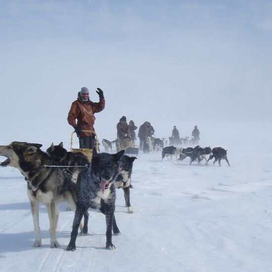 Husky Safari in Norwegen
