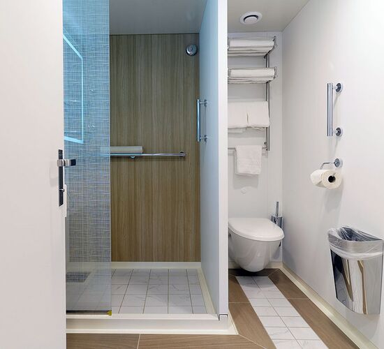 Penthouse Suite © ship ocean explorer